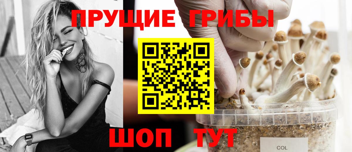 Псилоцибиновые грибы прущие грибы Кимры